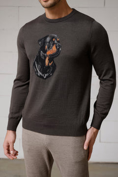 Dexter Men's Intarsia Wool Sweater