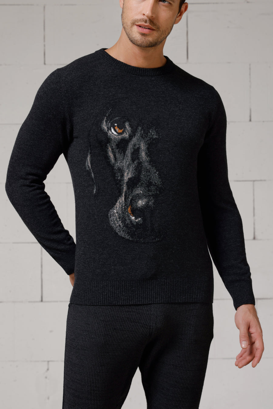Marco Men's Intarsia Lambswool Sweater